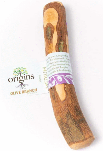 Olive Wood Dog Chew Medium Pack of 2 Dogwood Stick
